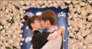 照顾小兔宝宝